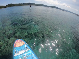 image5-jpeg